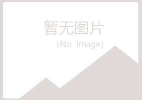 碌曲县初柔会计有限公司